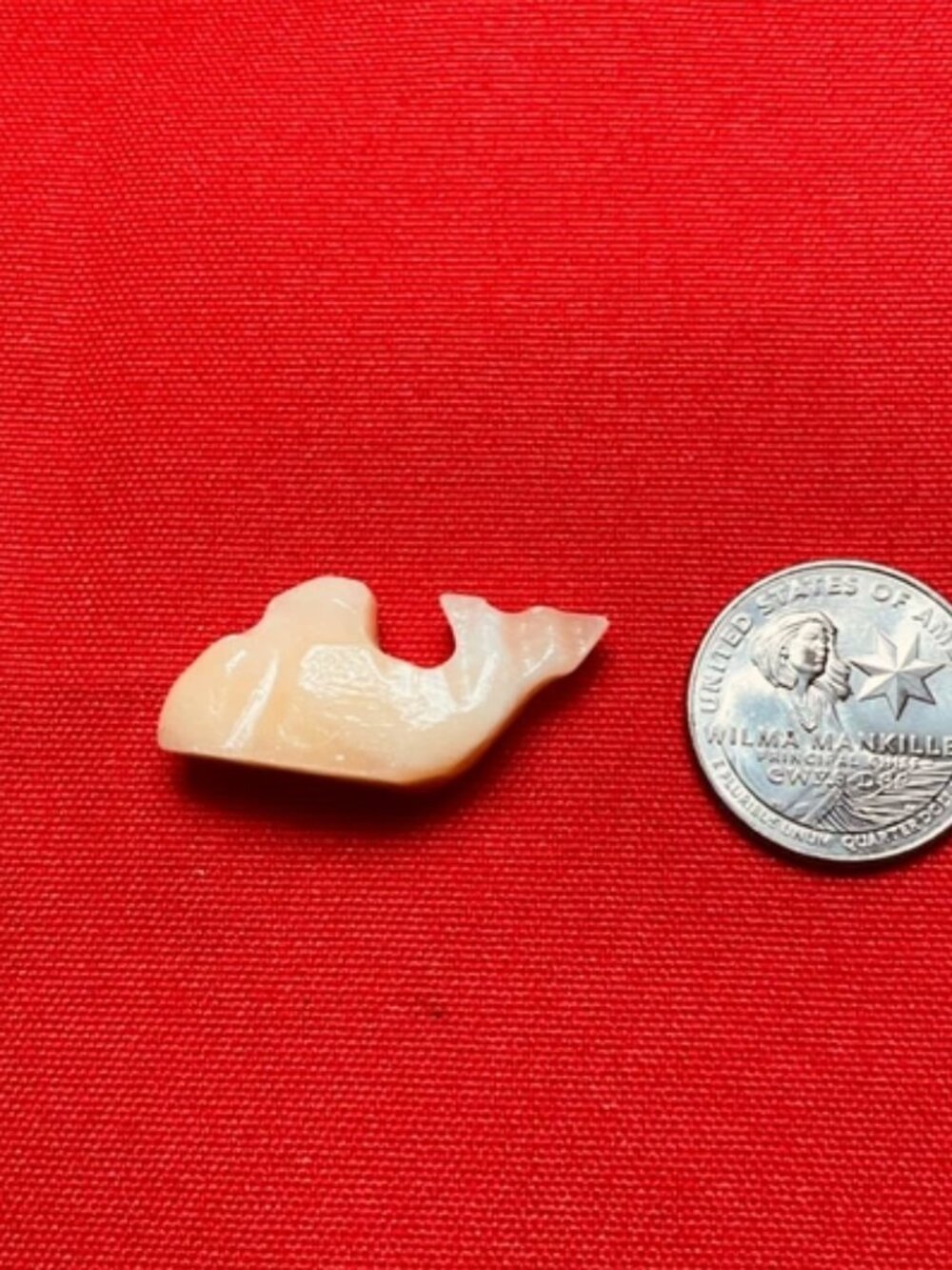 Stone whale. Miniature